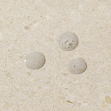 TONER SEAWEED 250ML A0X